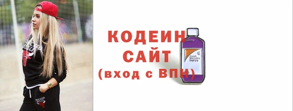 дживик Снежинск