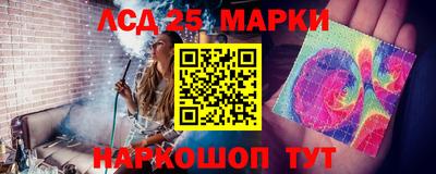 сатива Будённовск