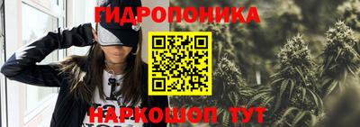 сатива Будённовск