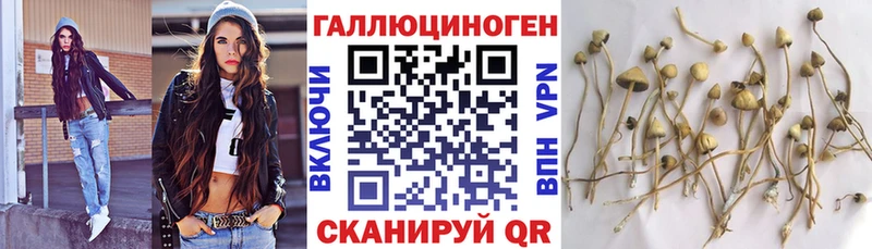 Псилоцибиновые грибы мухоморы  где найти   Дзержинск 