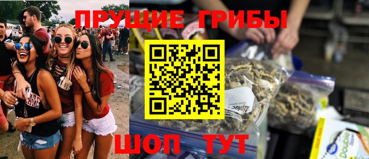 Дзержинск  Галлюциногенные грибы мицелий  Вход с VPN 